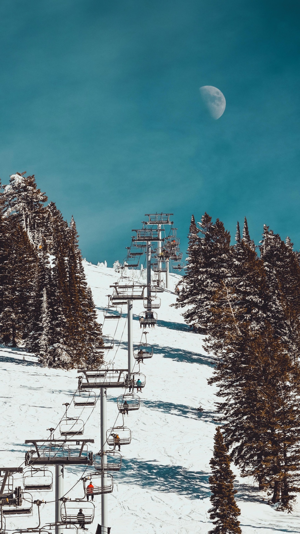 Grand Targhee Resort - Deep Powder Skiing & Year-Round Adventures