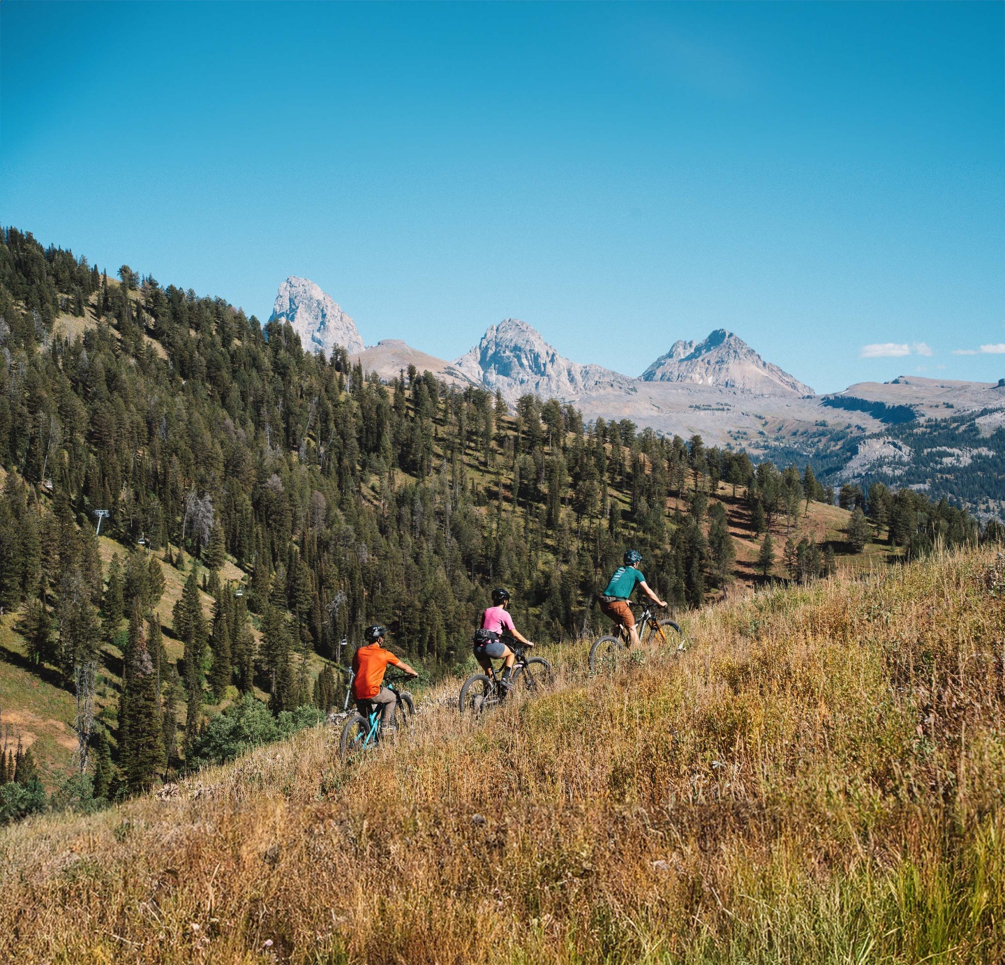 Cyclists ride down a grassy mountain trail with a forested landscape.