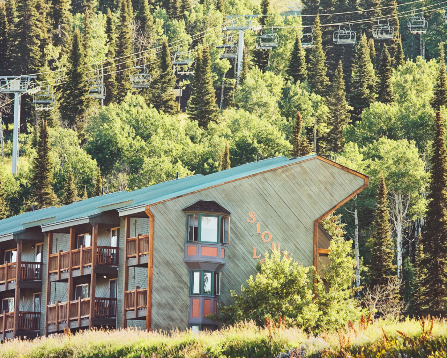 Wooden lodge among trees with ski lift cables in the background.
