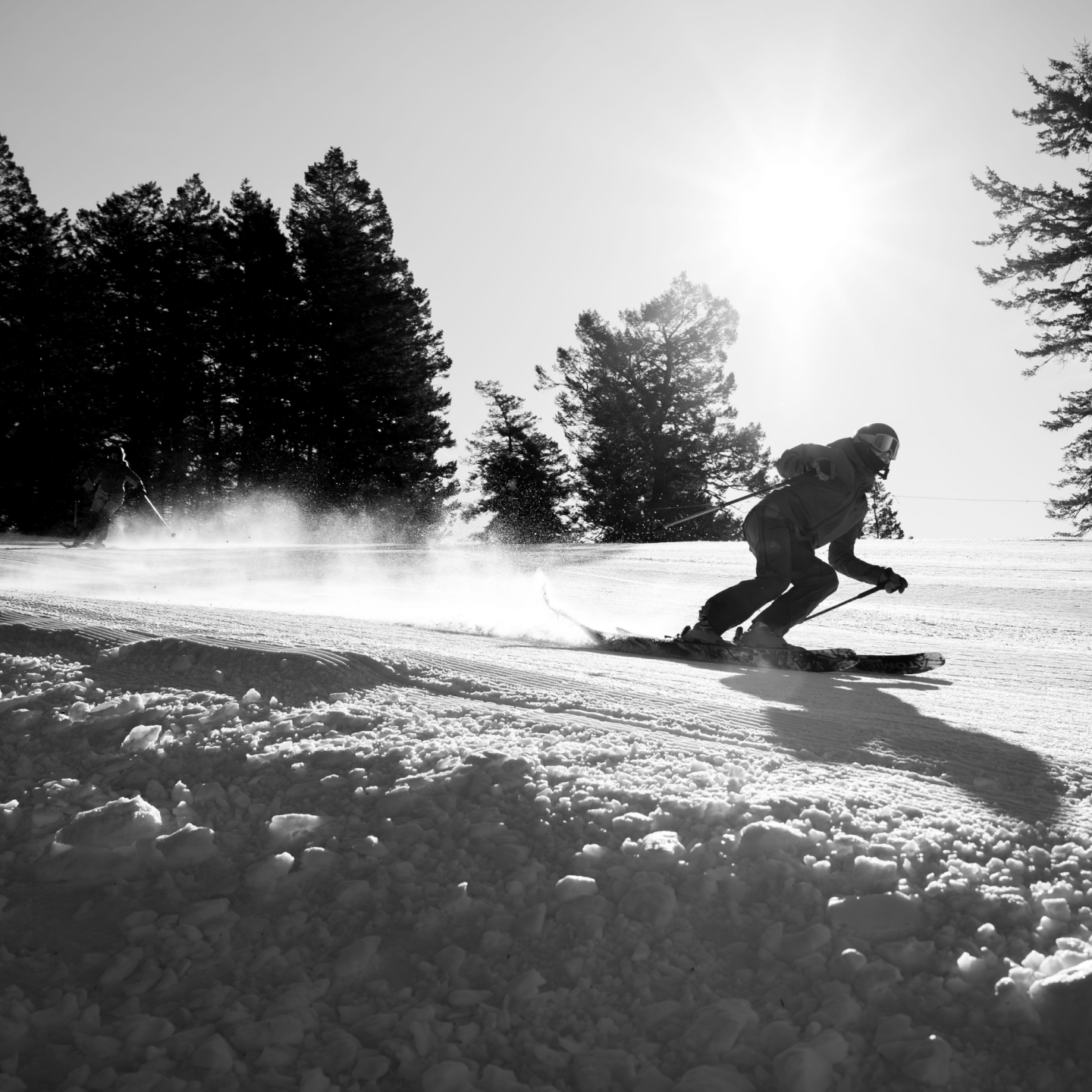 Skier descending snowy slope in sunlight, trees in background.